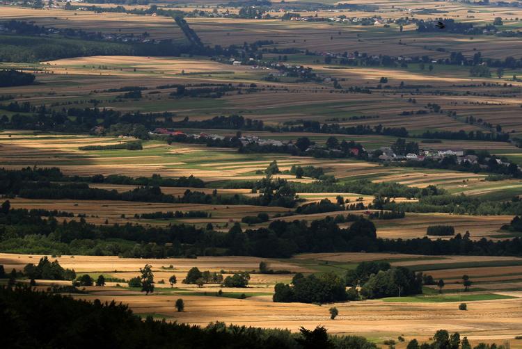 Grand Hotel Kielce | Kielce | 7