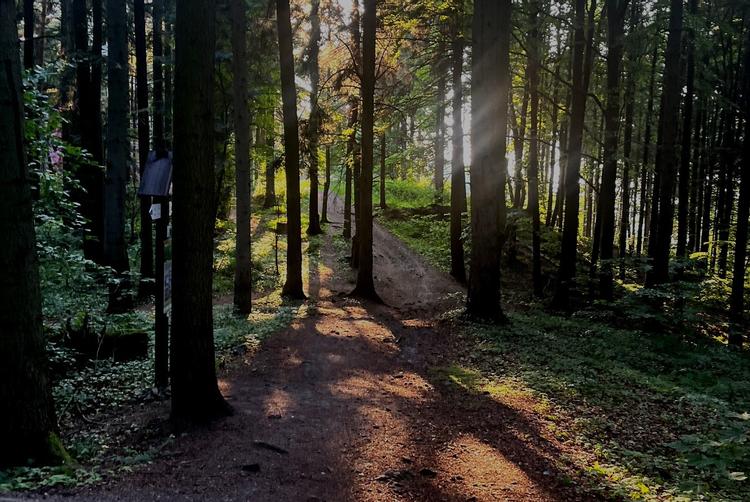 Grand Hotel Kielce | Kielce | 1