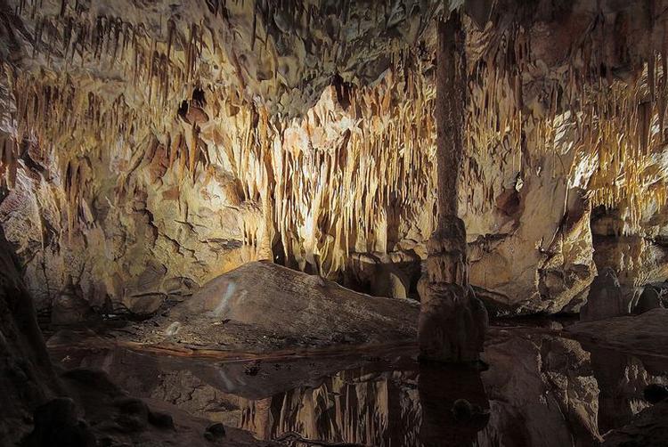 Grand Hotel Kielce | Kielce | 3